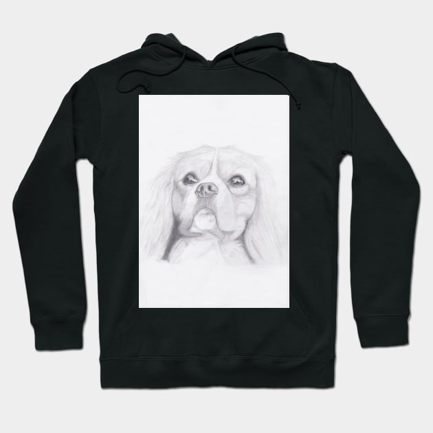 Cavalier King Charles Spaniel Hoodie by DavidASmith